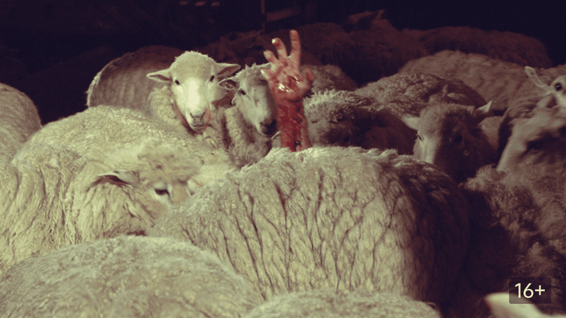 Паршивая овца (2006)