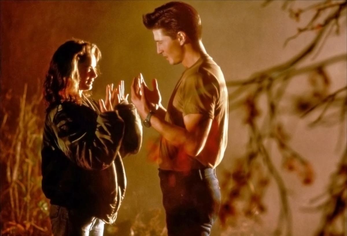 Похитители тел (1993)