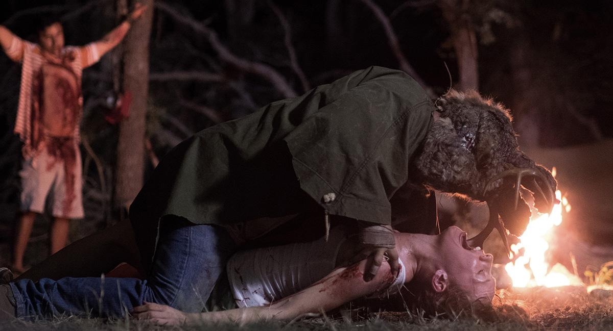 Последняя девушка (2015)