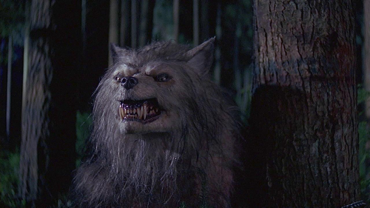 Зловещая луна (1996)