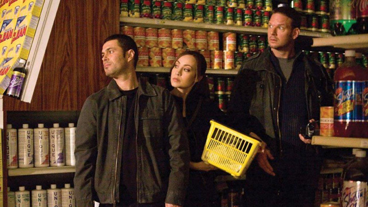 Чужеродное вторжение (2008)